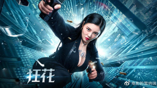 买爱尔兰驾照